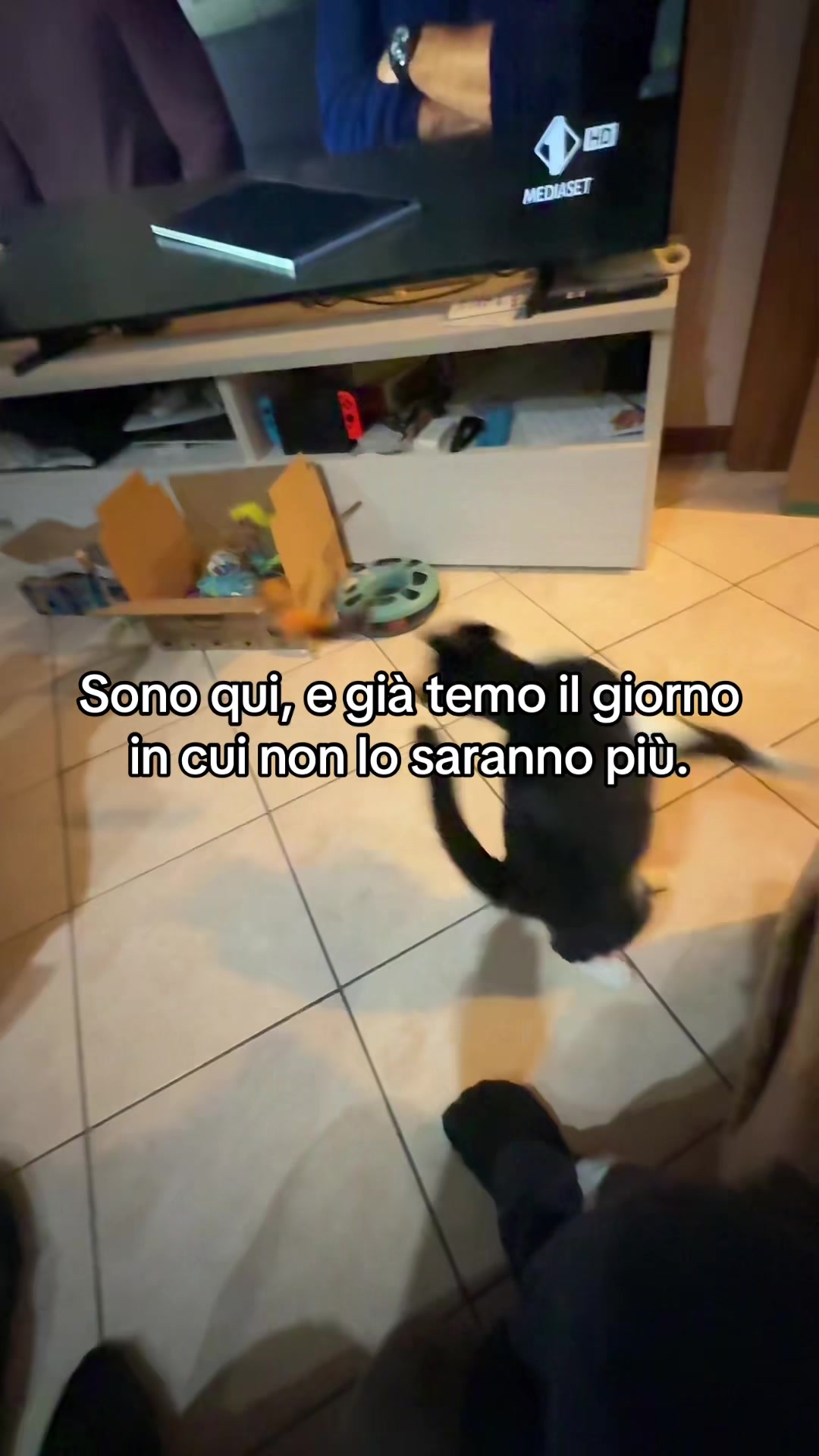 @Alessandro_cerato