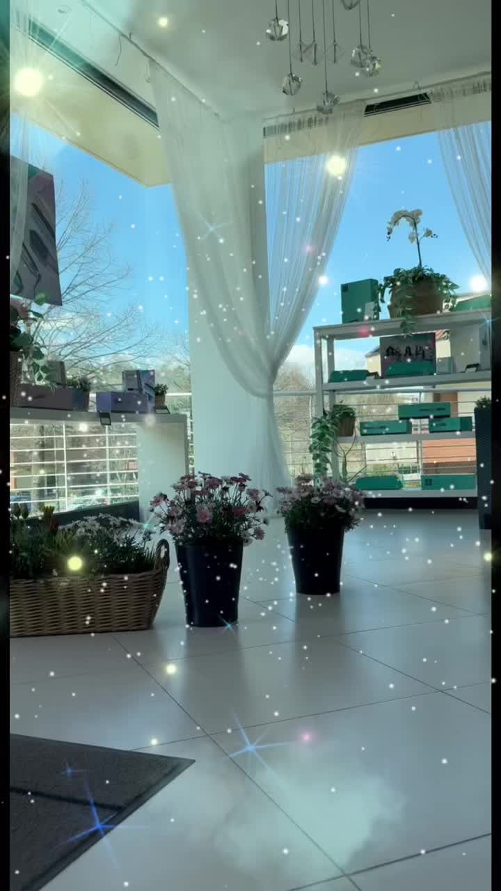 @danielecioti