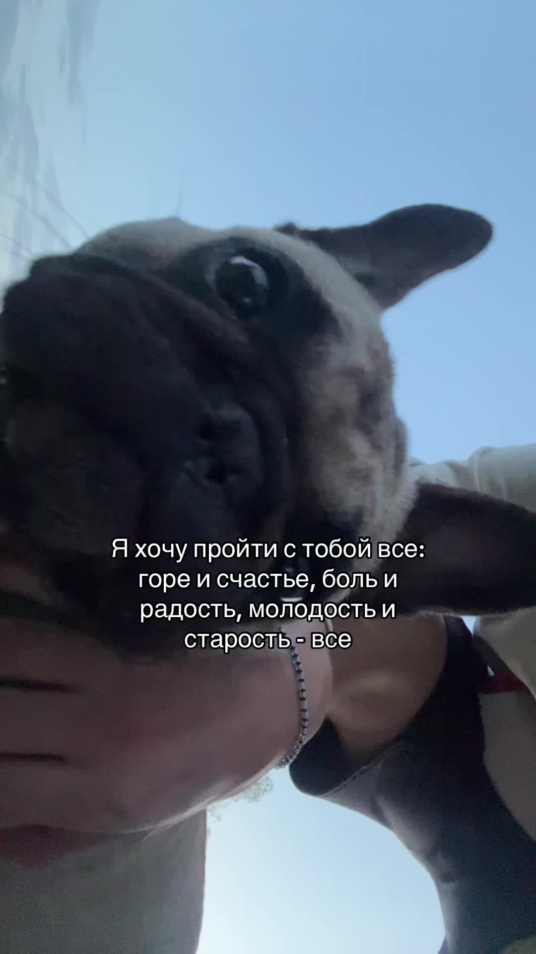 @тгк: степка стиляга 🥷