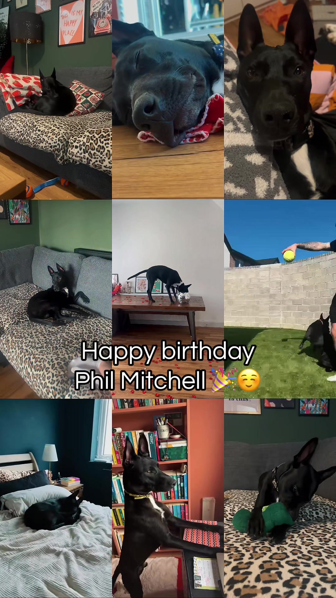 @gigiandphilmitchell