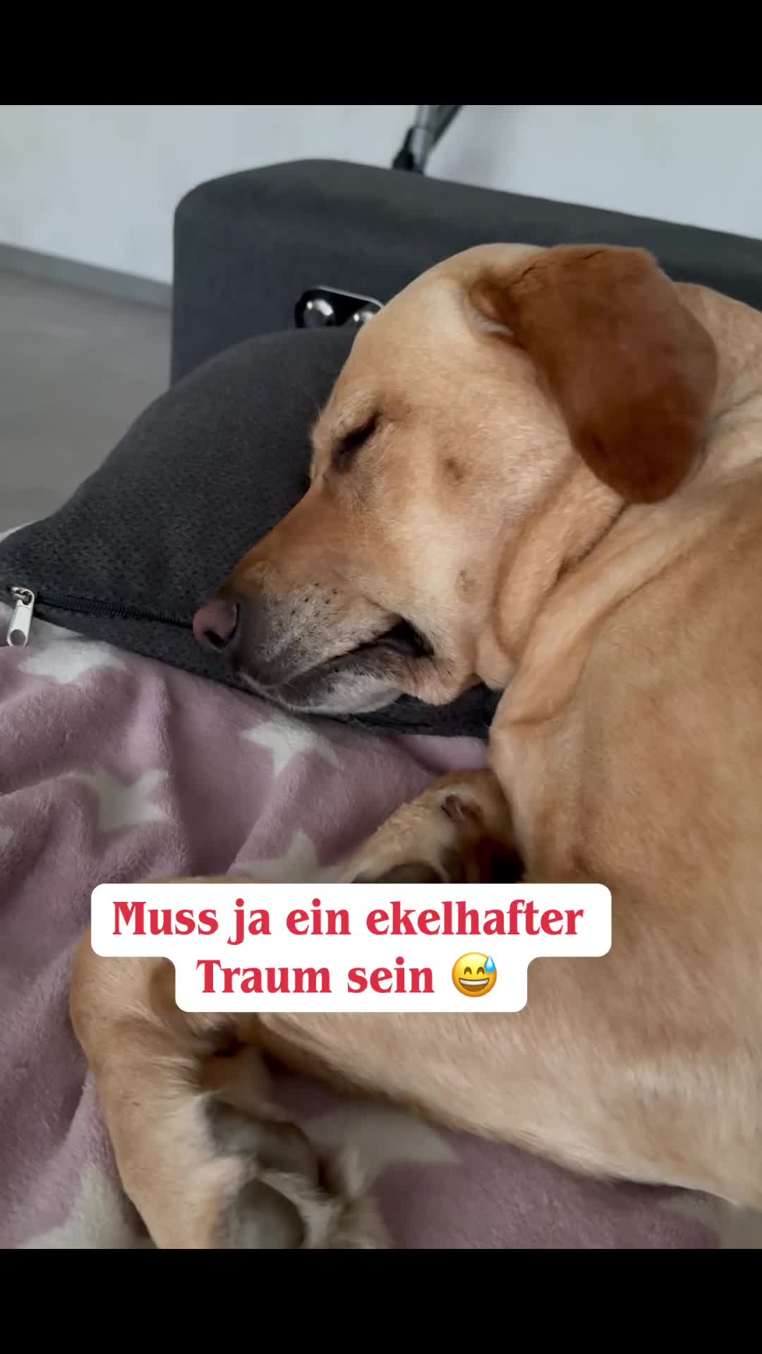 @Schwester_Simone