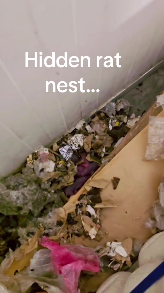 @Imperium Pest Control