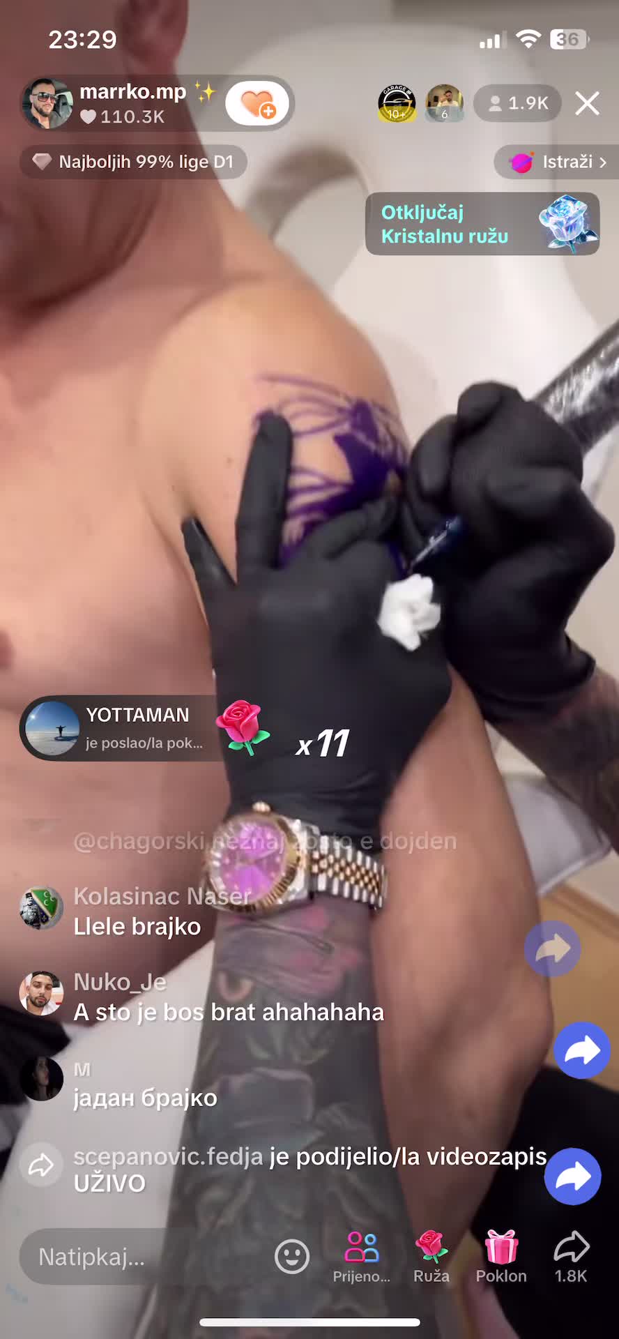 @stefanarsic176