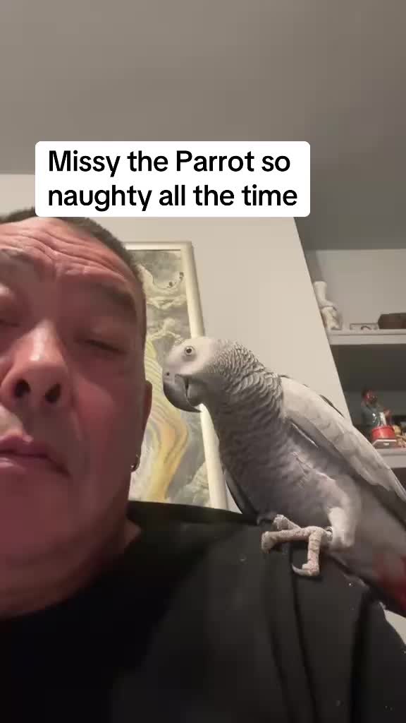 @Norman and Missy the Parrot