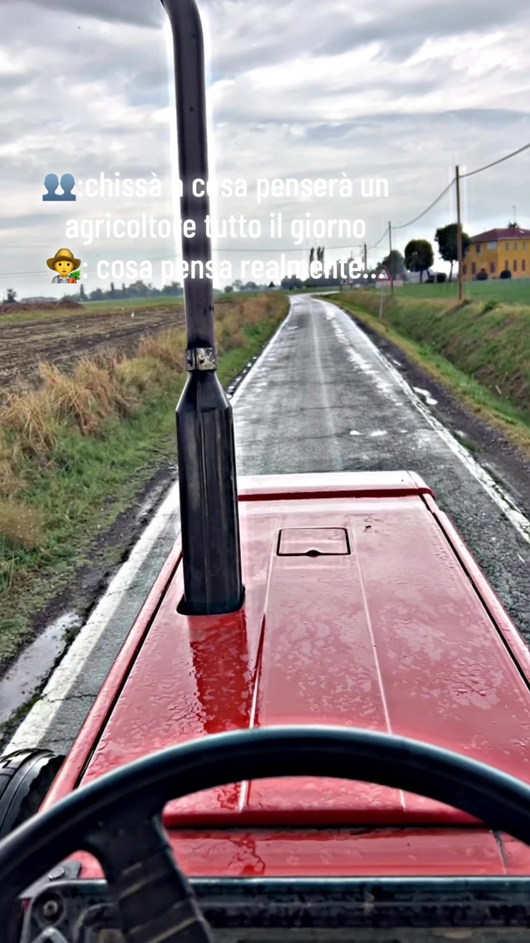 @Mirko Farmer