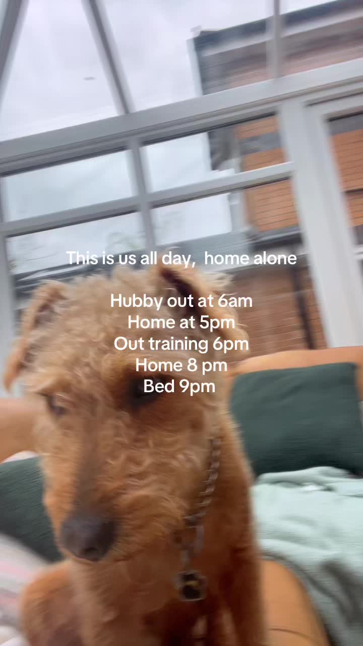 @👩🏻🦳❤️🐕