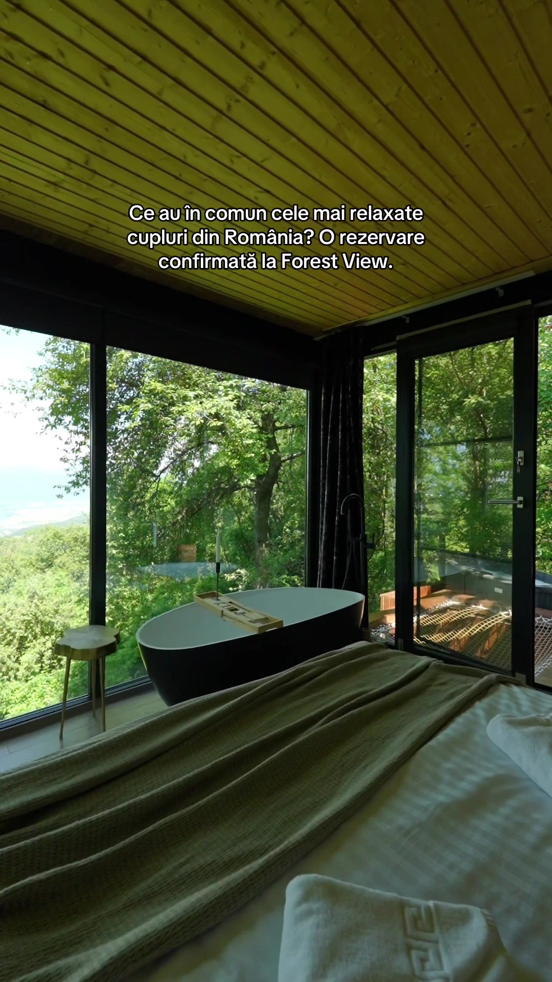 @Forest View Valcea
