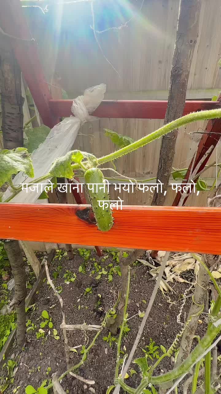 @@kaladebibhattarai123
