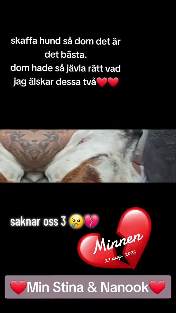@❤️Jenny Friberg❤️