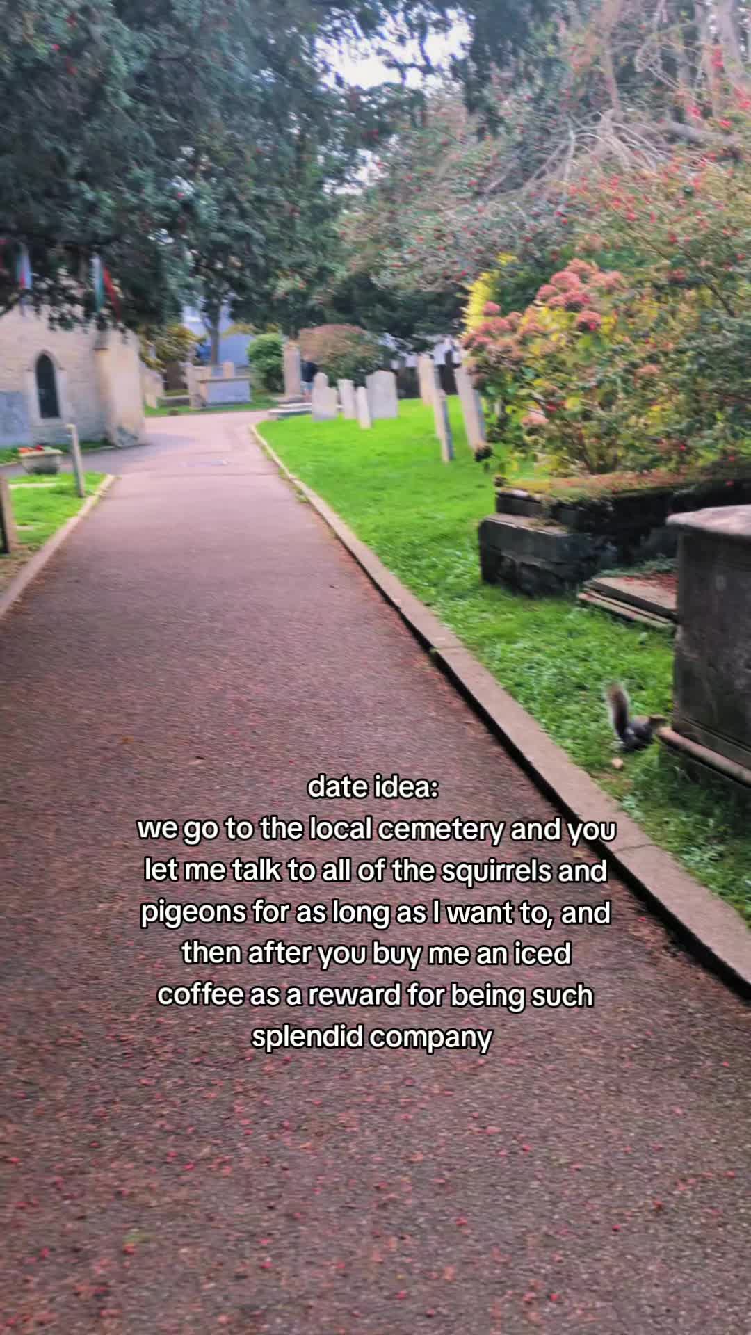 @⋆.˚✯𝕵𝖆𝖘𝖒𝖎𝖓𝖊 ⚢✯˚.⋆