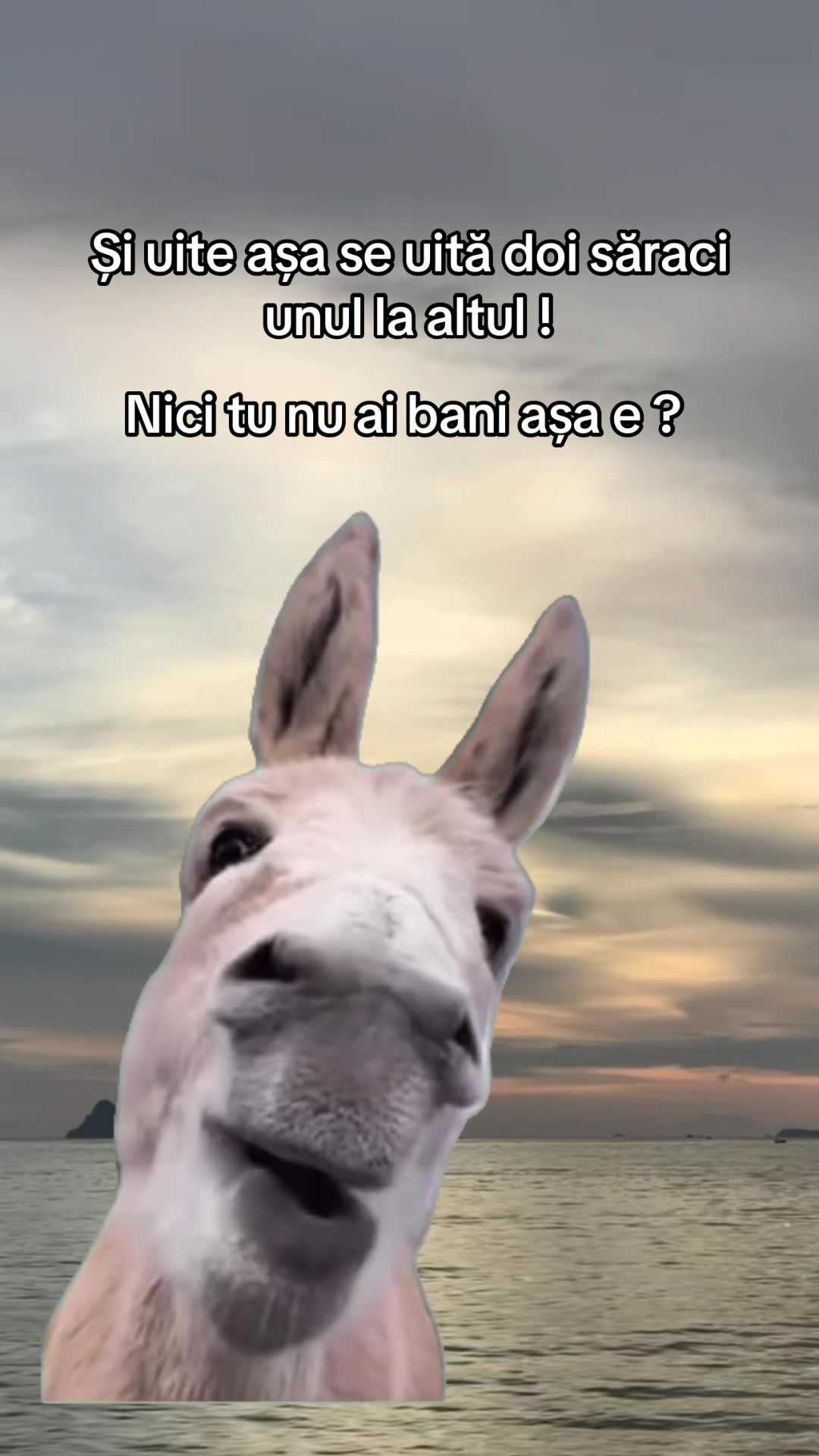 @Ionut17