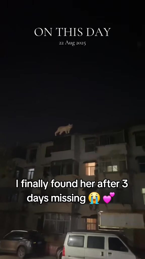 @Underrated Moments