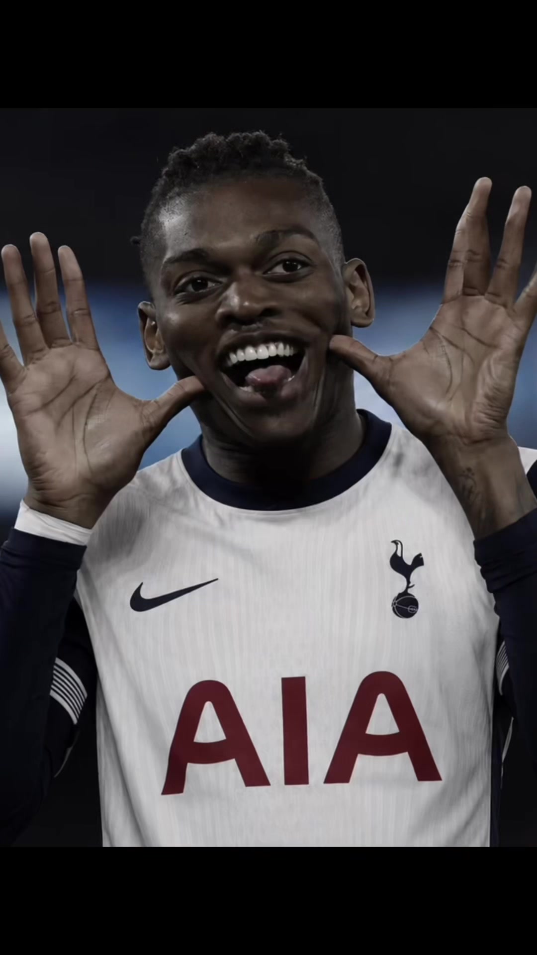 @thfc.teddy