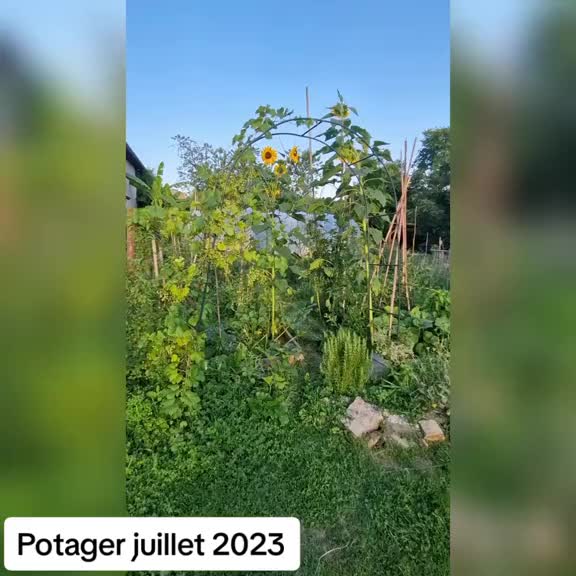 @Miloune au jardin