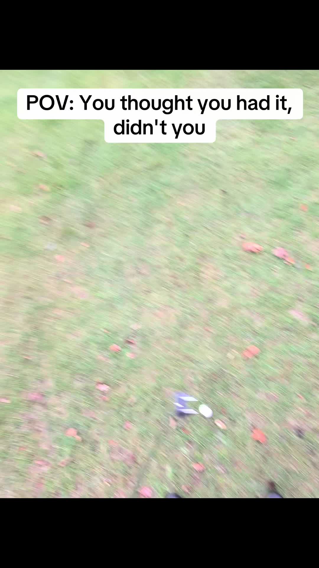 @GolfBite