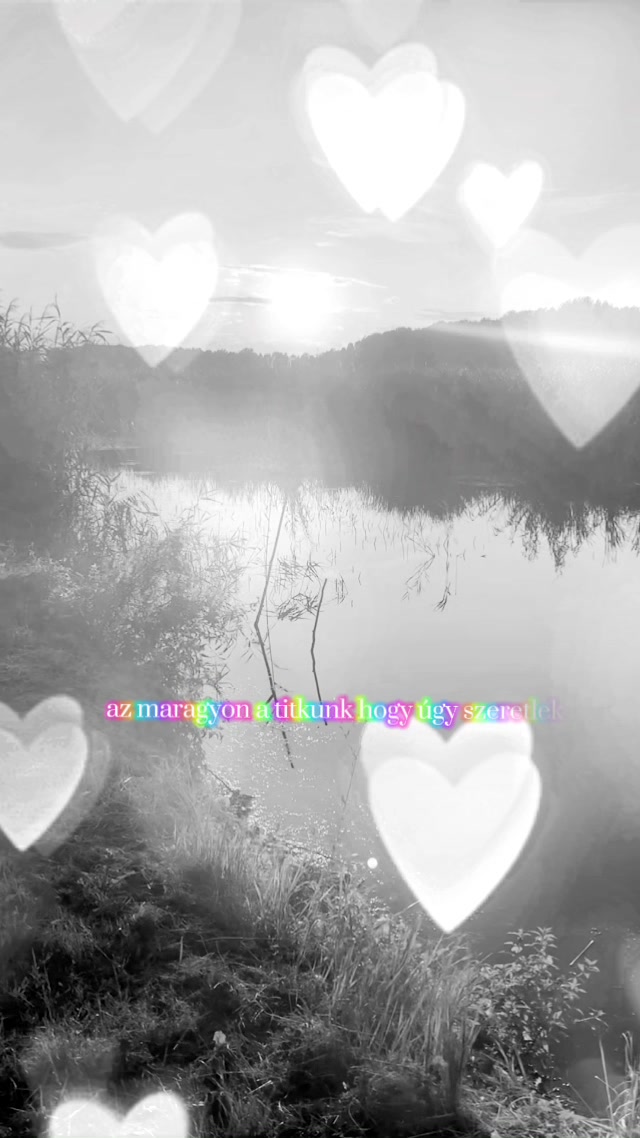 @gipsy zenek✌🏼👑🫵🏽😘