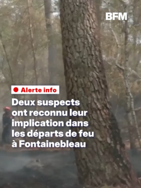 @BFMTV