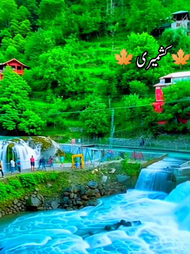 @اپنا کشمیر 🍁