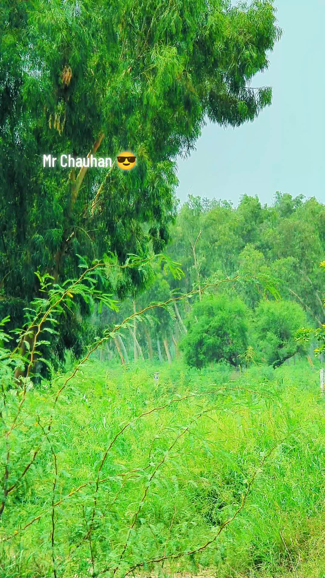 @Mr Chauhan ๐