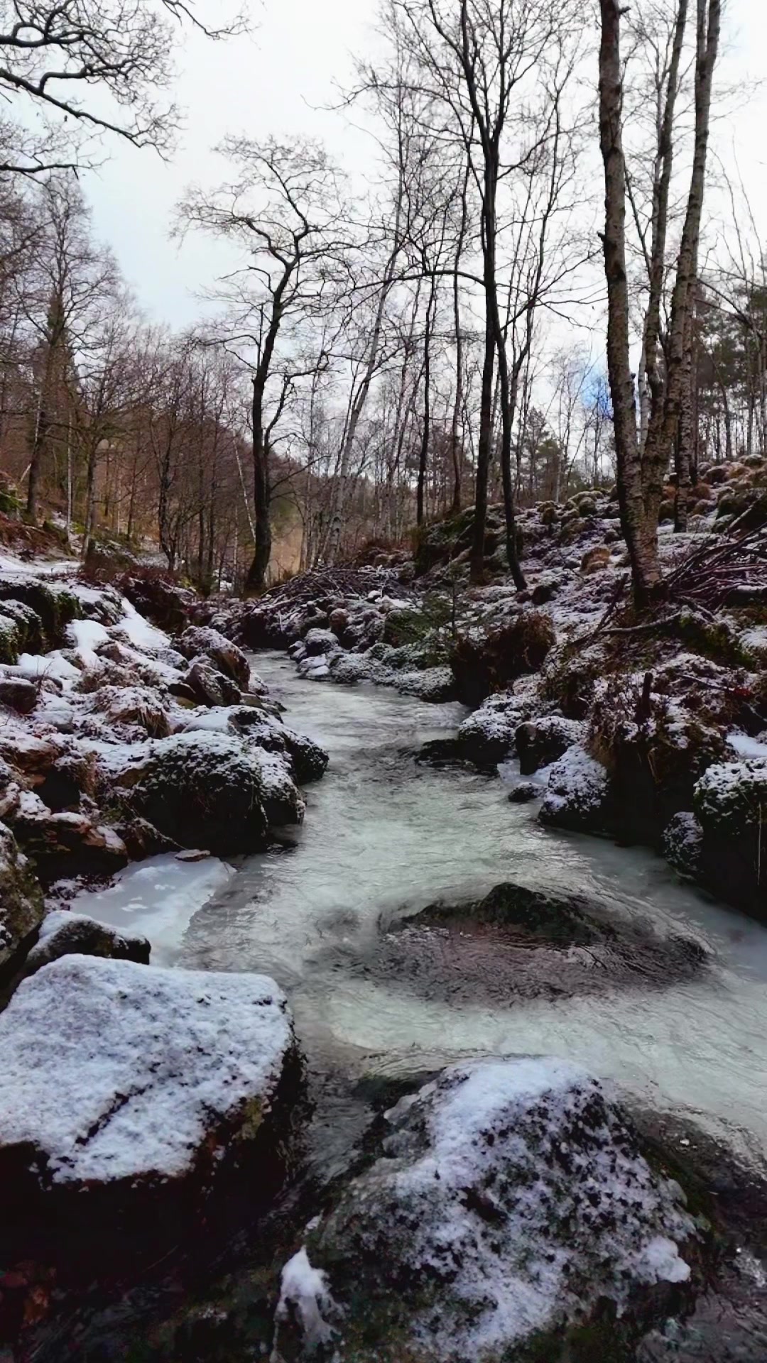 @Nature in Norway