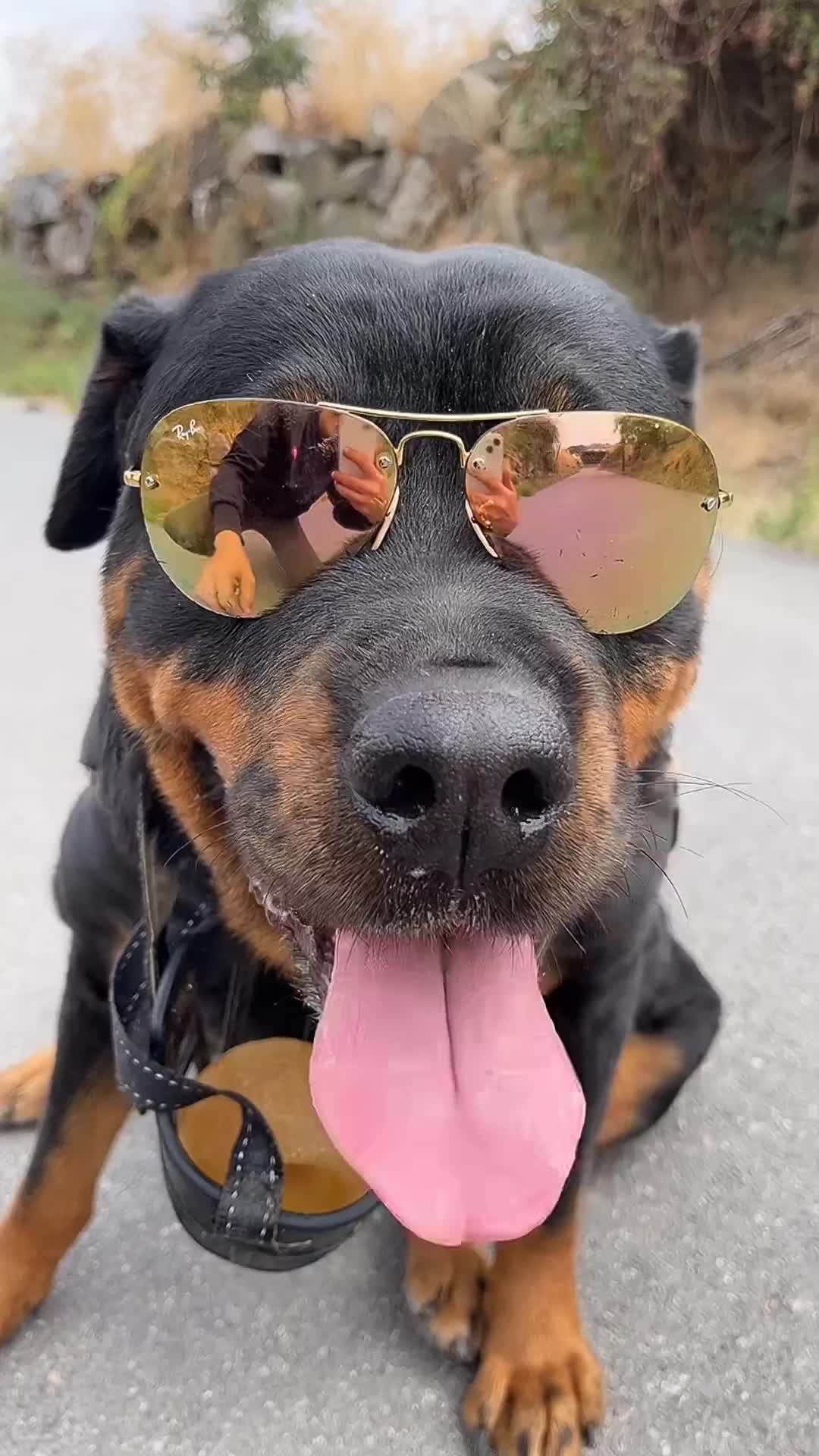 @❤️KyRa❤️RoTTie