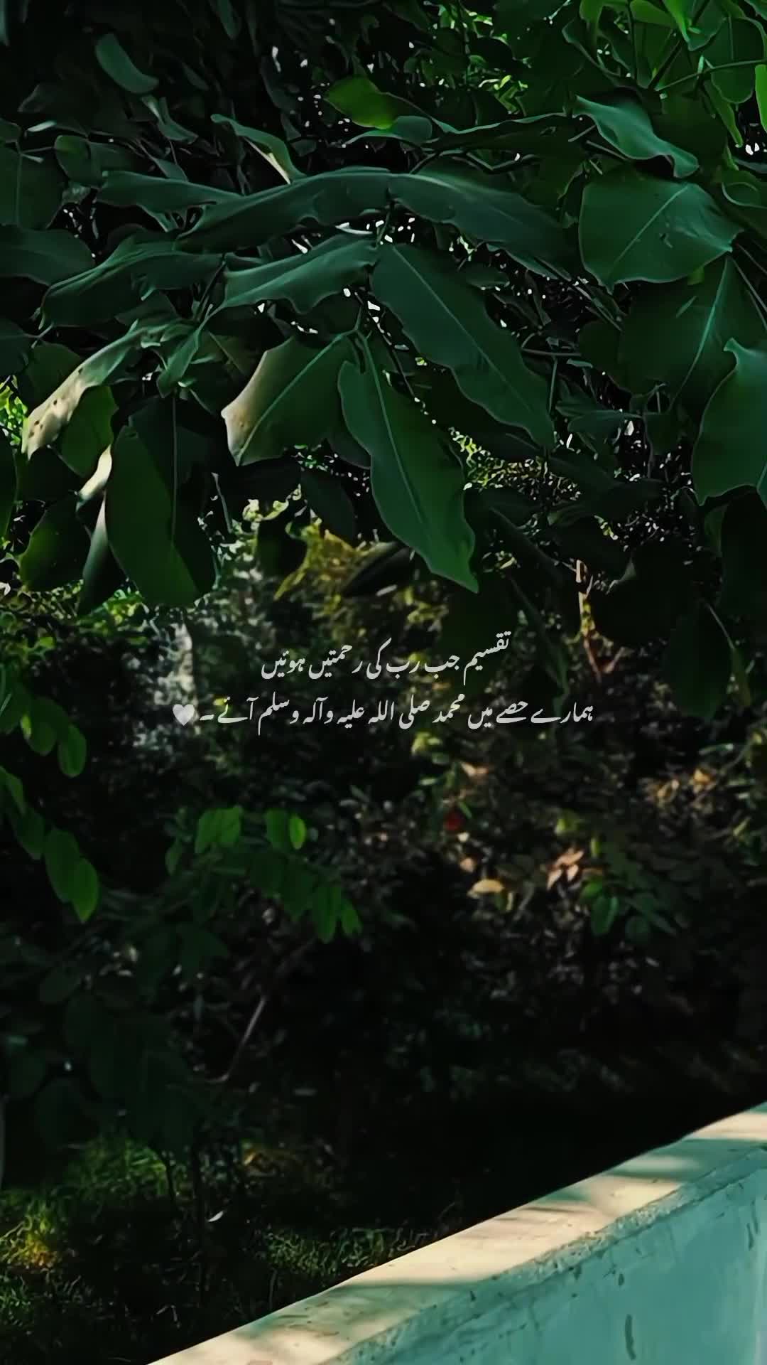 @- 💔