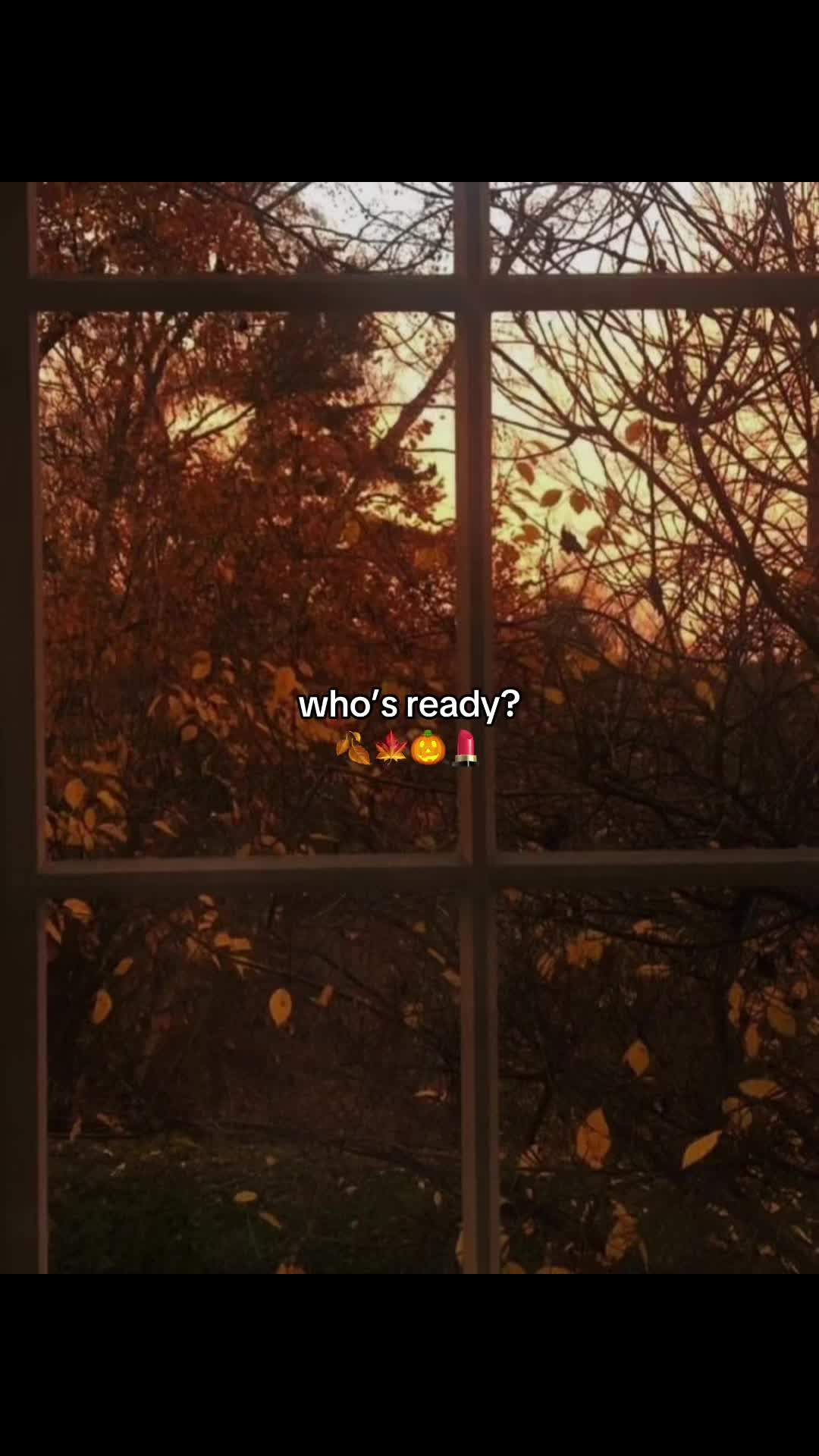 @🍂🤎𝐞𝐬𝐬𝐞𝐧𝐜𝐞🤎🍂