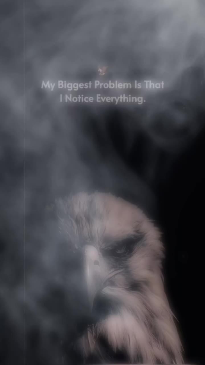 @ᦓꪻꪗꪶꫀ ꫝꪊꪑ
