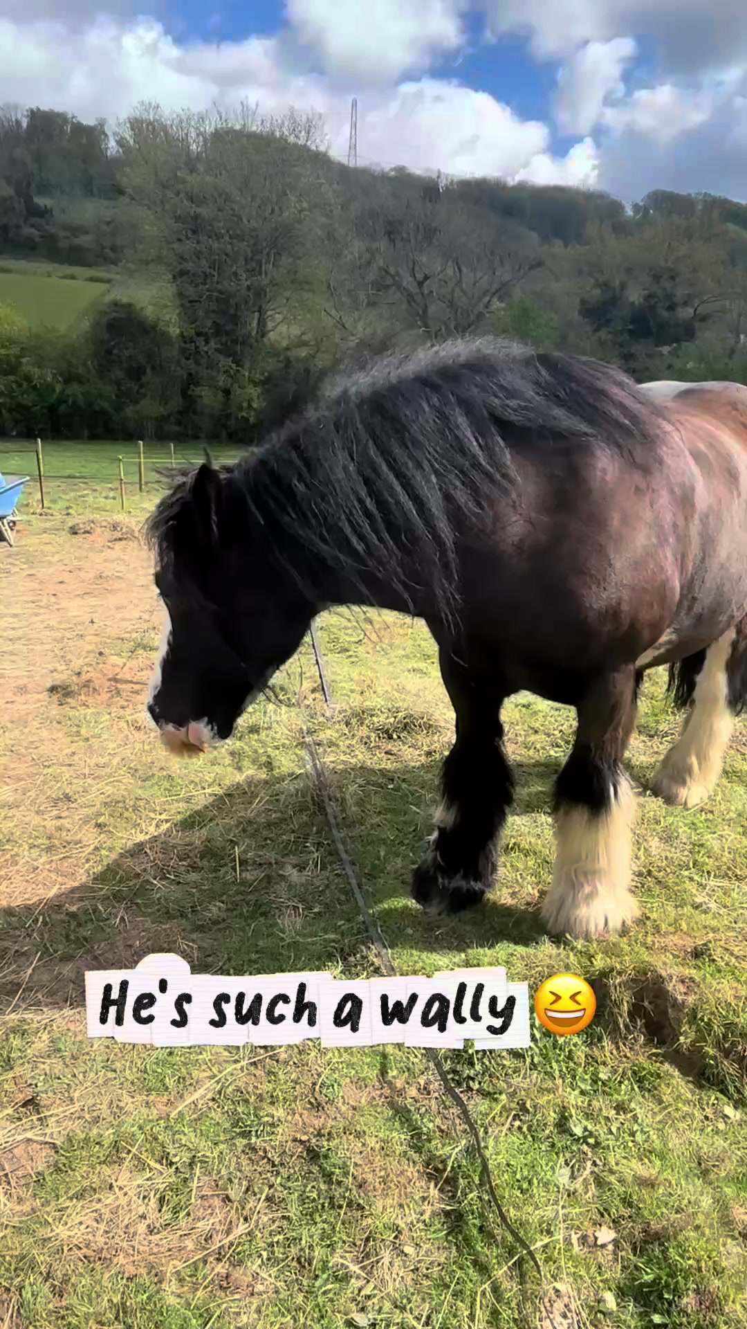 @The Novice Rider