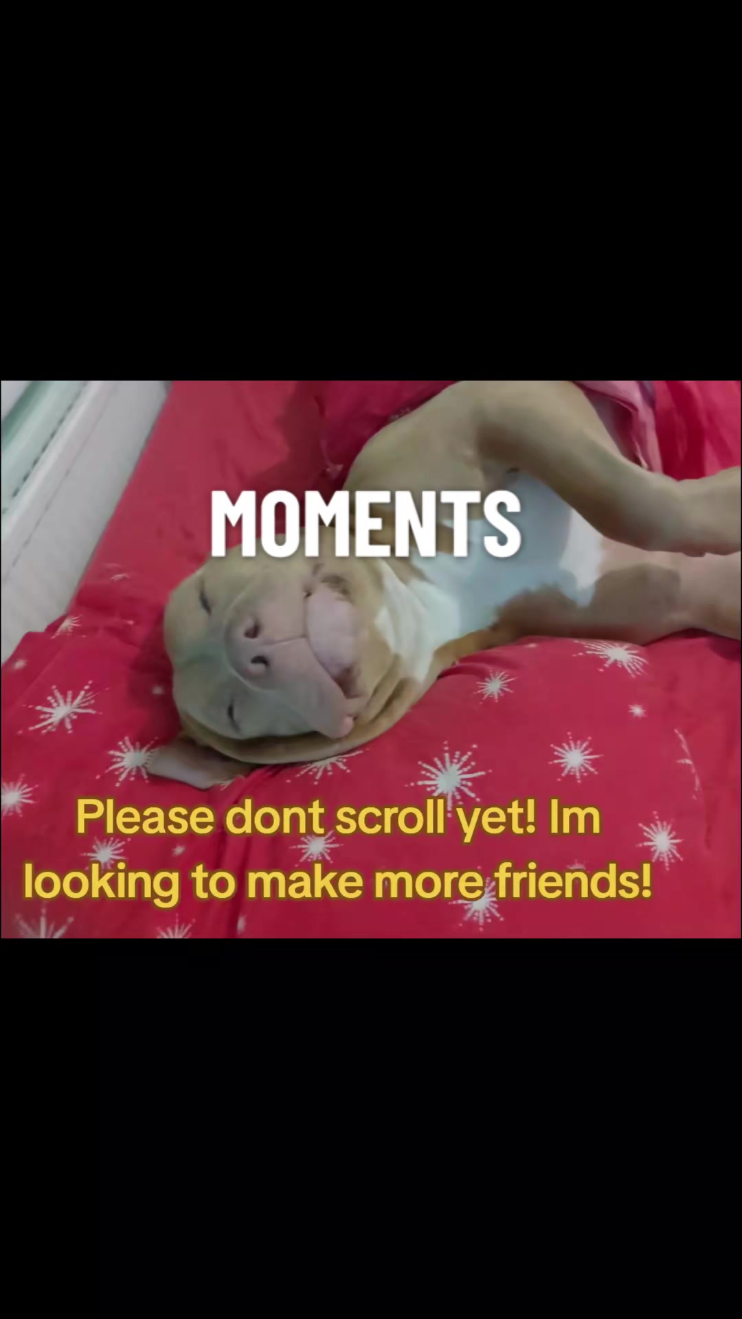 @Zeus.Bella1
