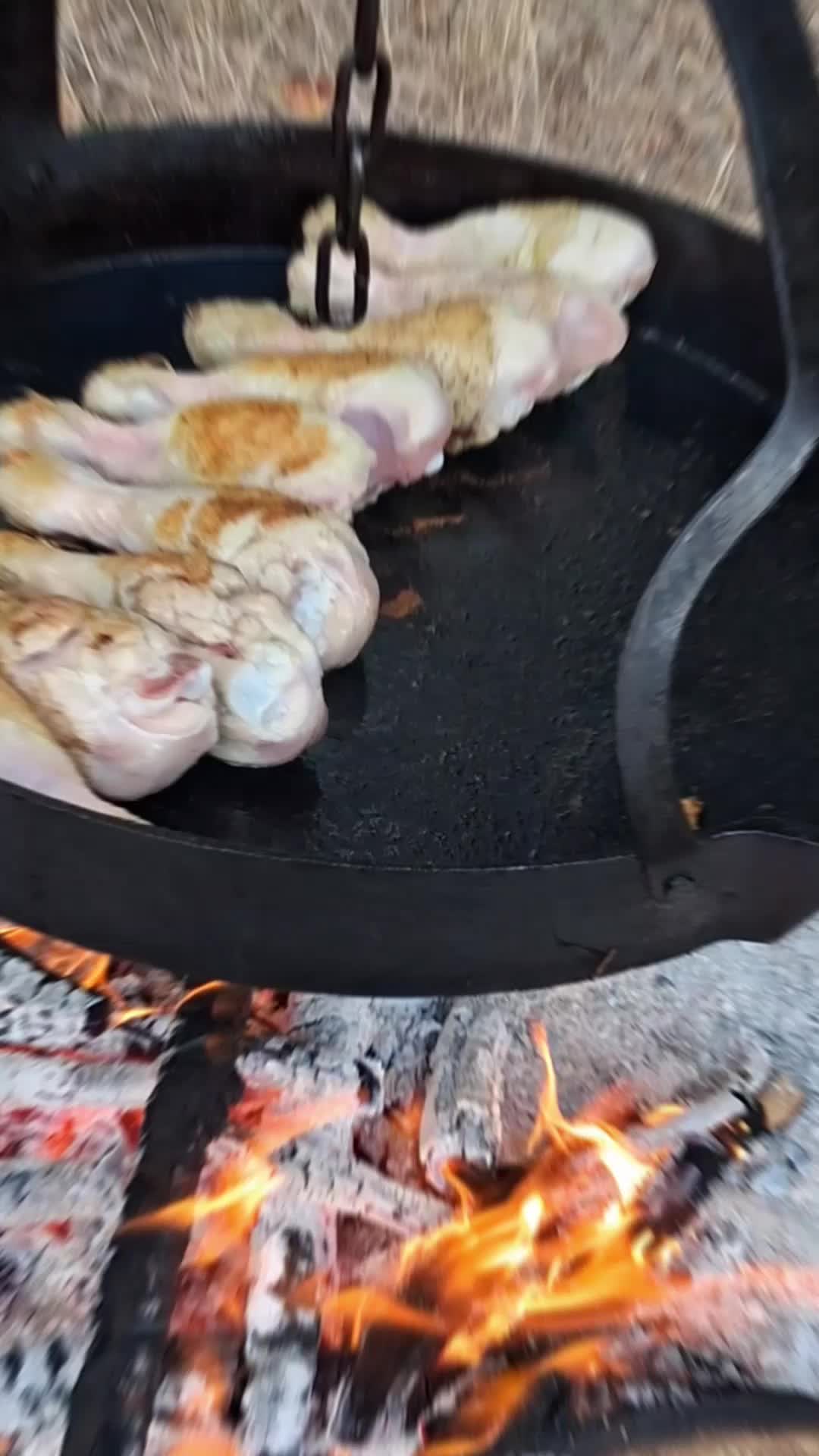 @thefreeroamer