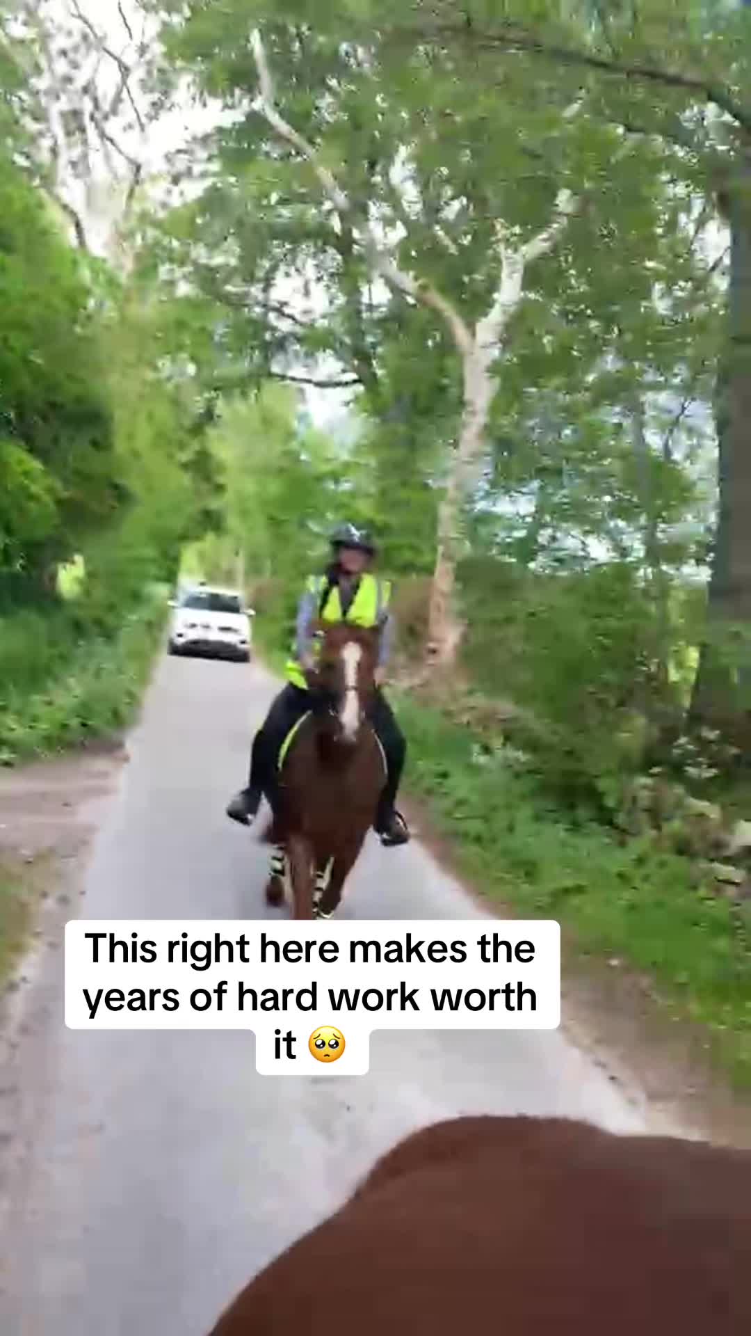 @Claire & Merlin Adventures
