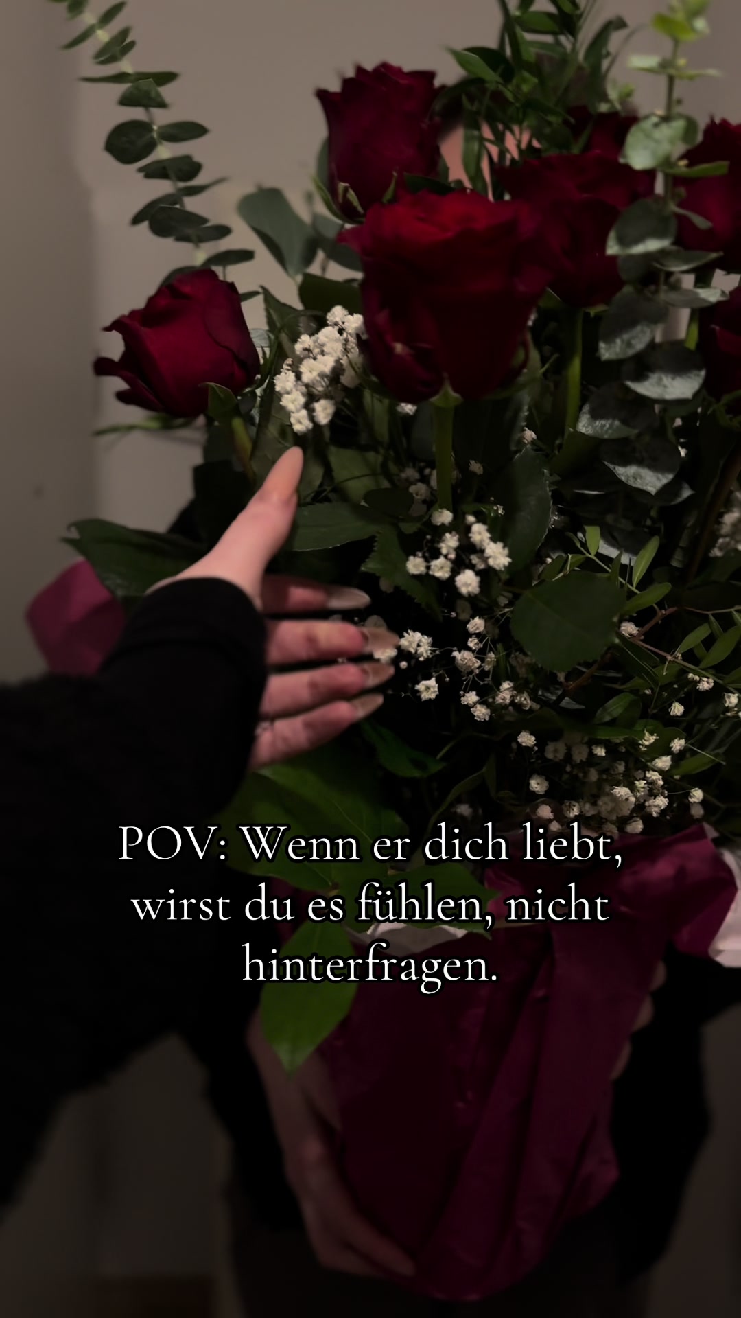 @_zaprena_testet