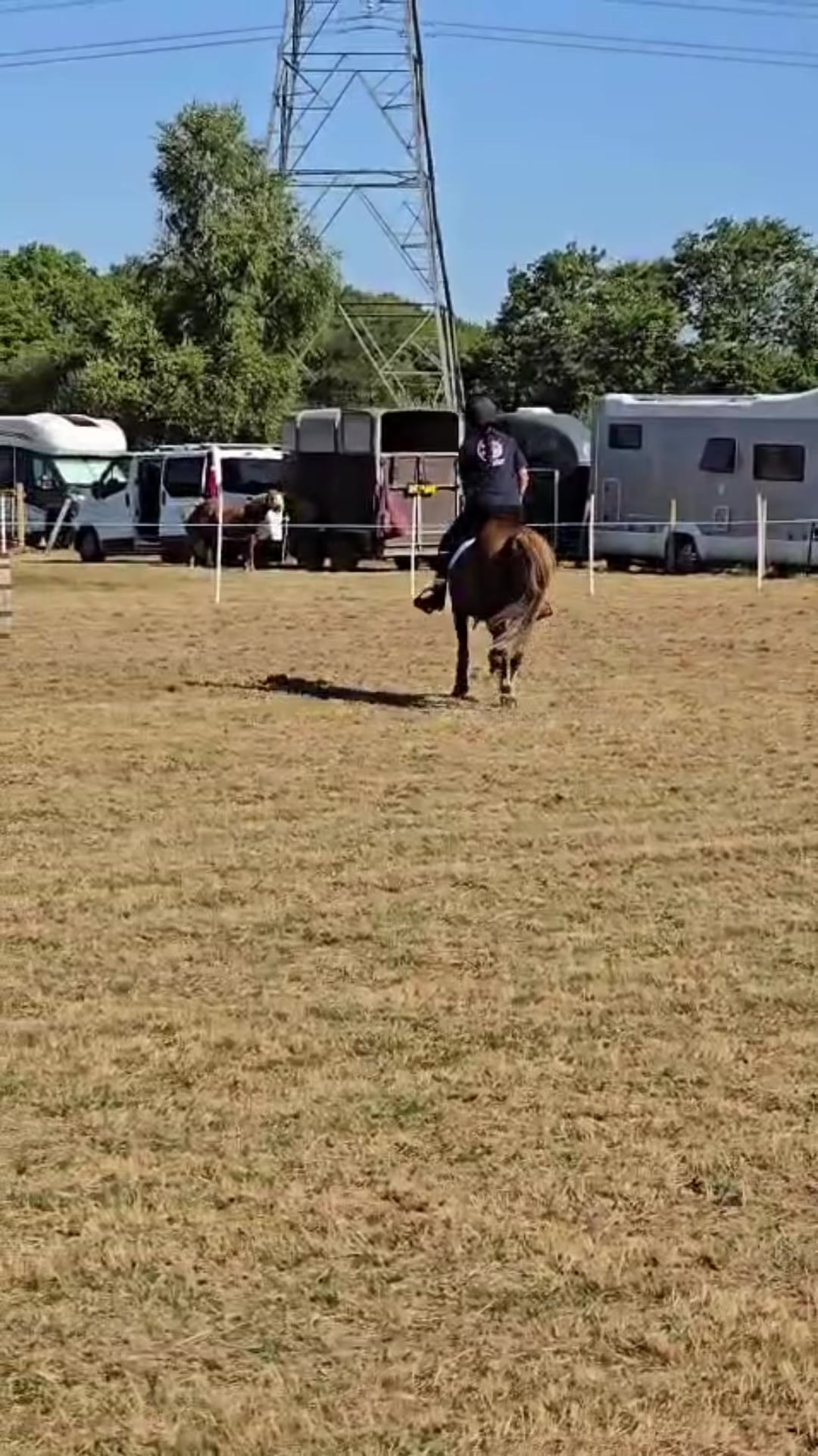 @shelbyshorseaccount