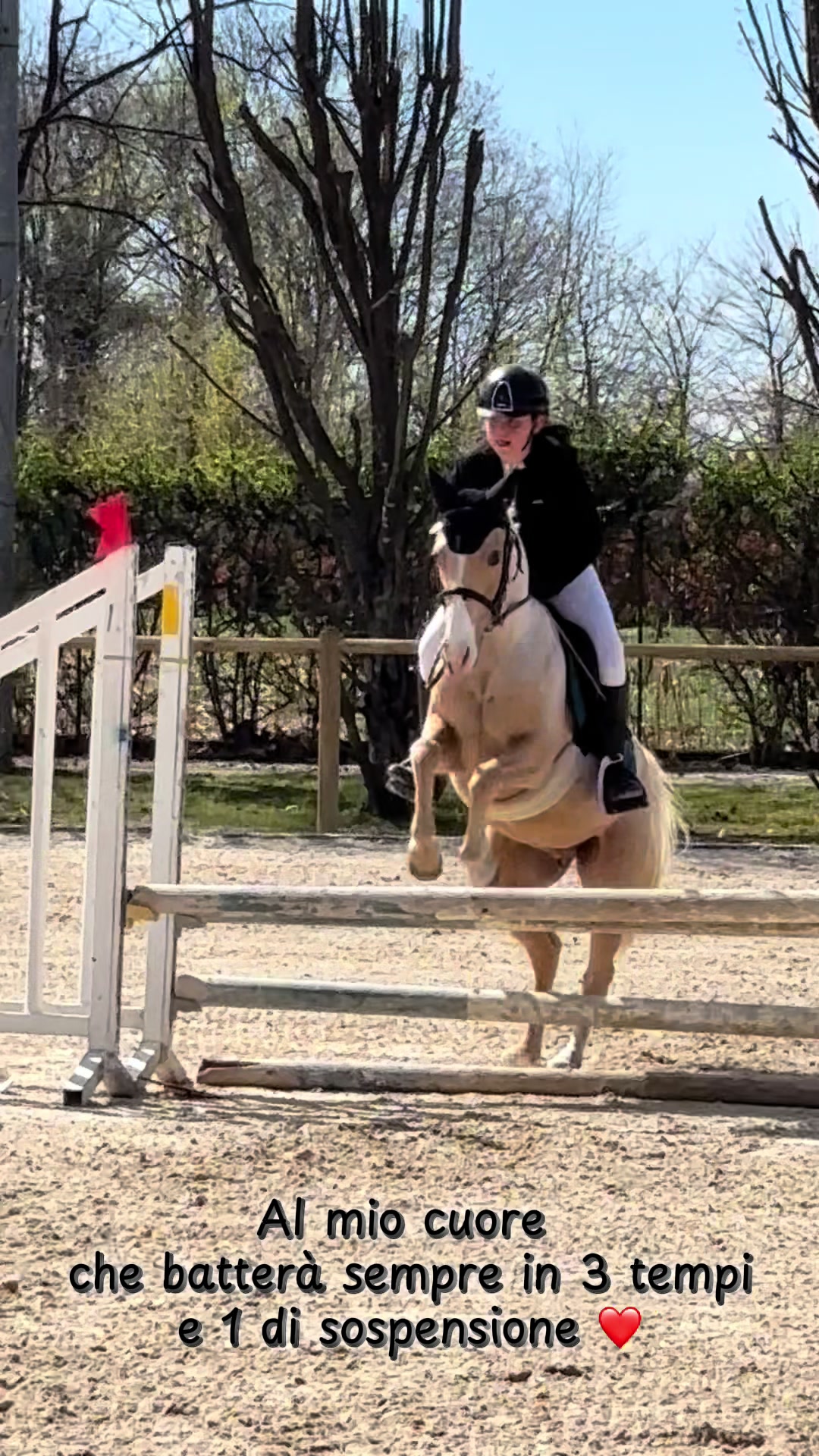@м&iota;&alpha; 🐴💛