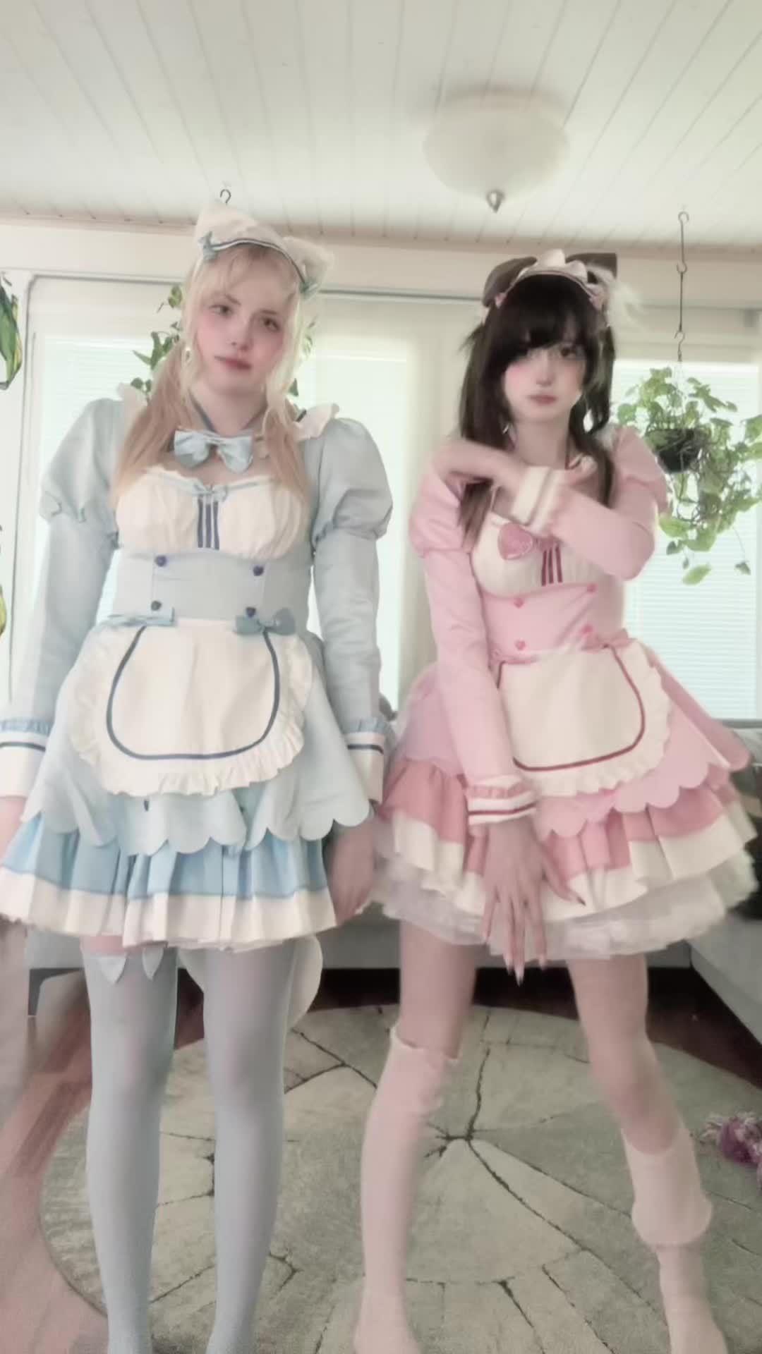 @kapinakissa