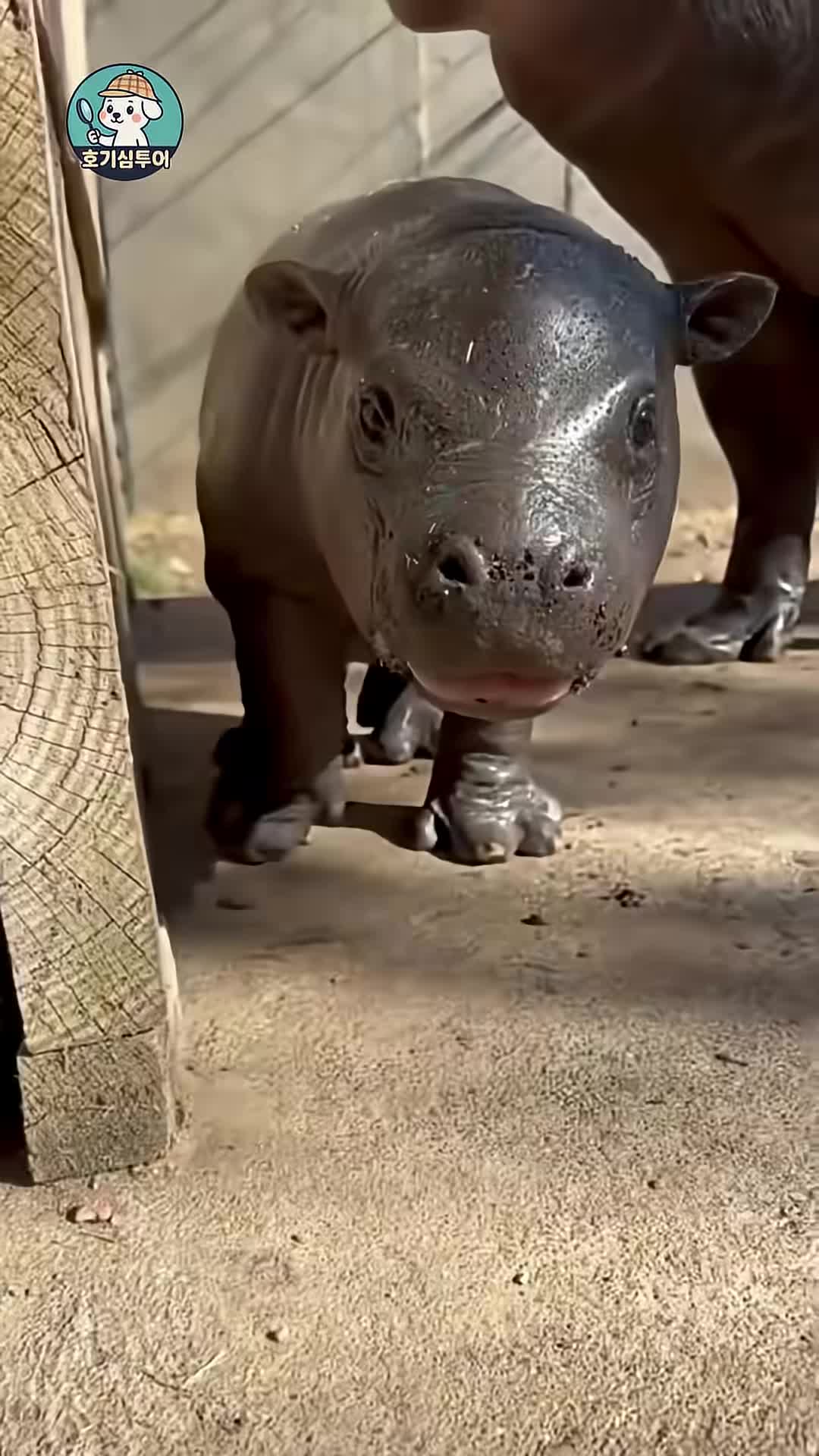 @남자의발견