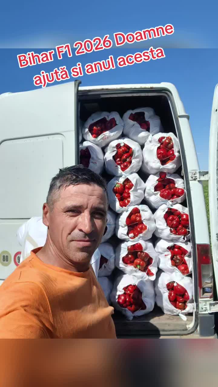 @Ion Georgescu