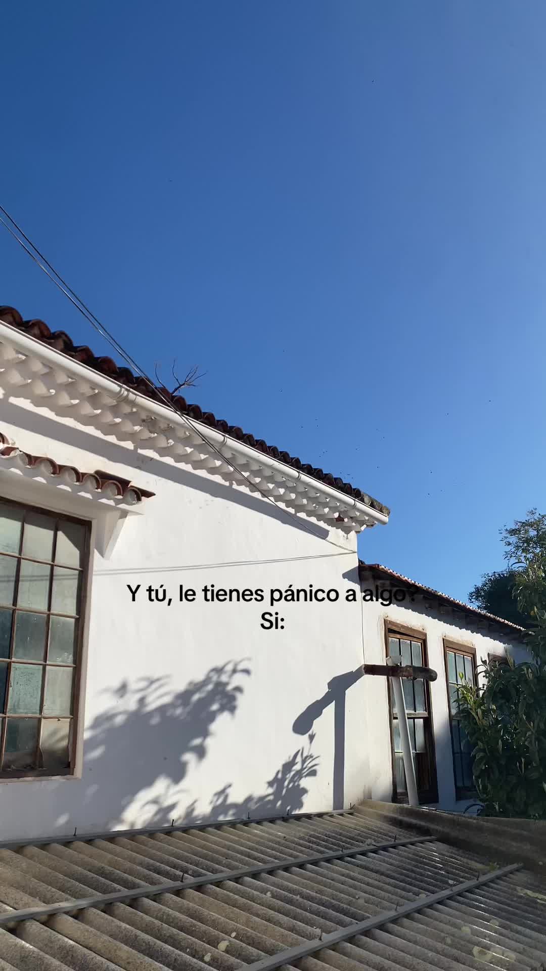 @leacurbelo