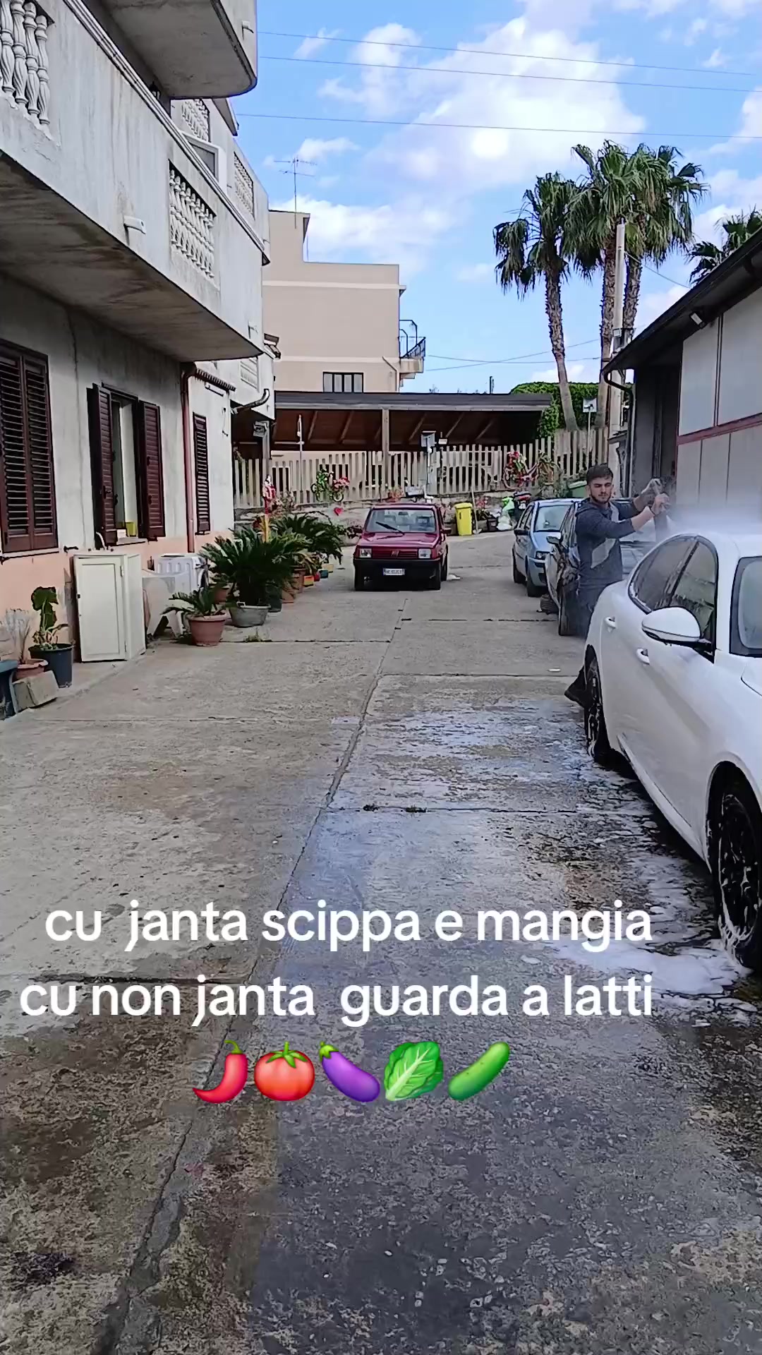 @Nicola Pasqualino( sanzuni)