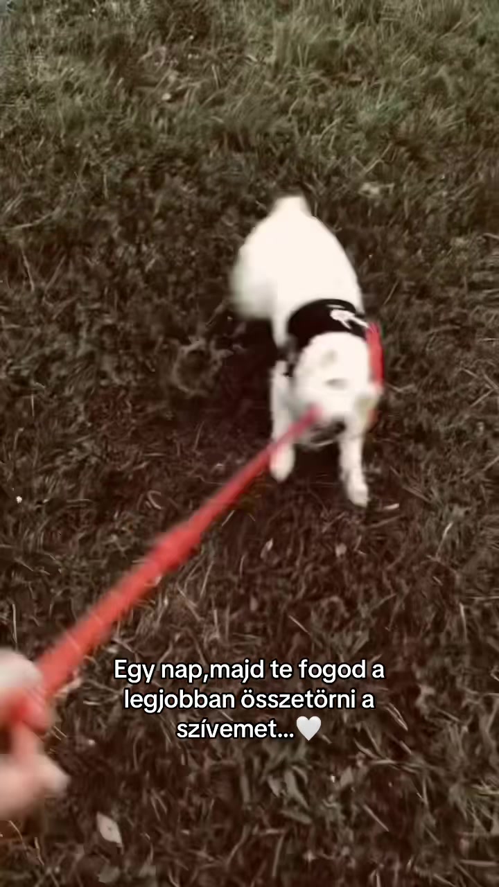 @𝓢𝓽𝓮𝓶𝓶𝓮𝓻 𝓩𝓼𝓪𝓷𝓮𝓽𝓽