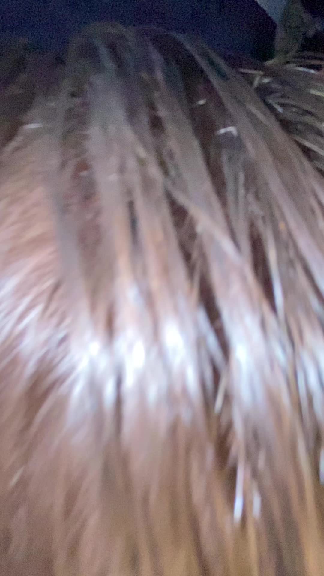@Sohaib🤩