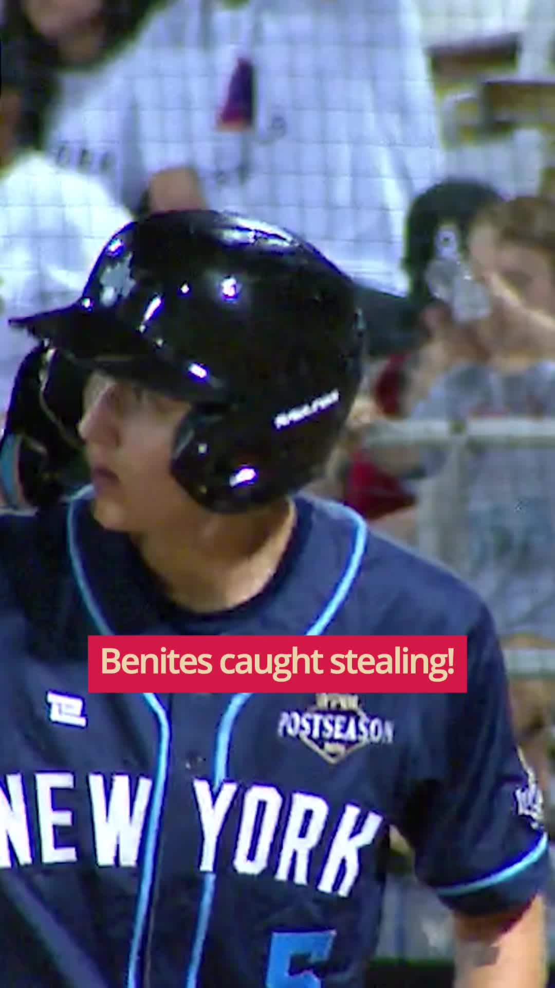 @Women's Pro Baseball League