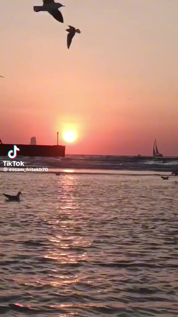 @محمد خلف
