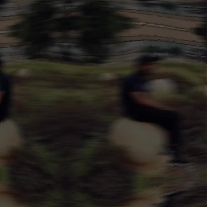 @S H A M I M 6 5 0