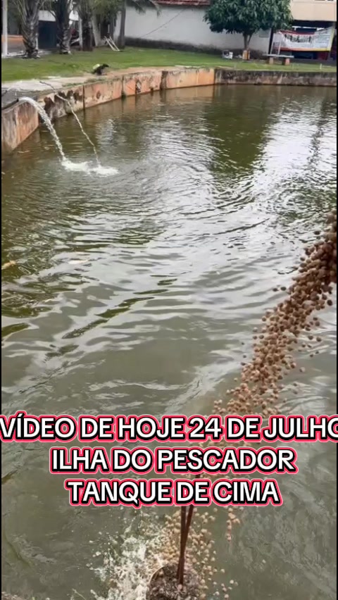 @Renan