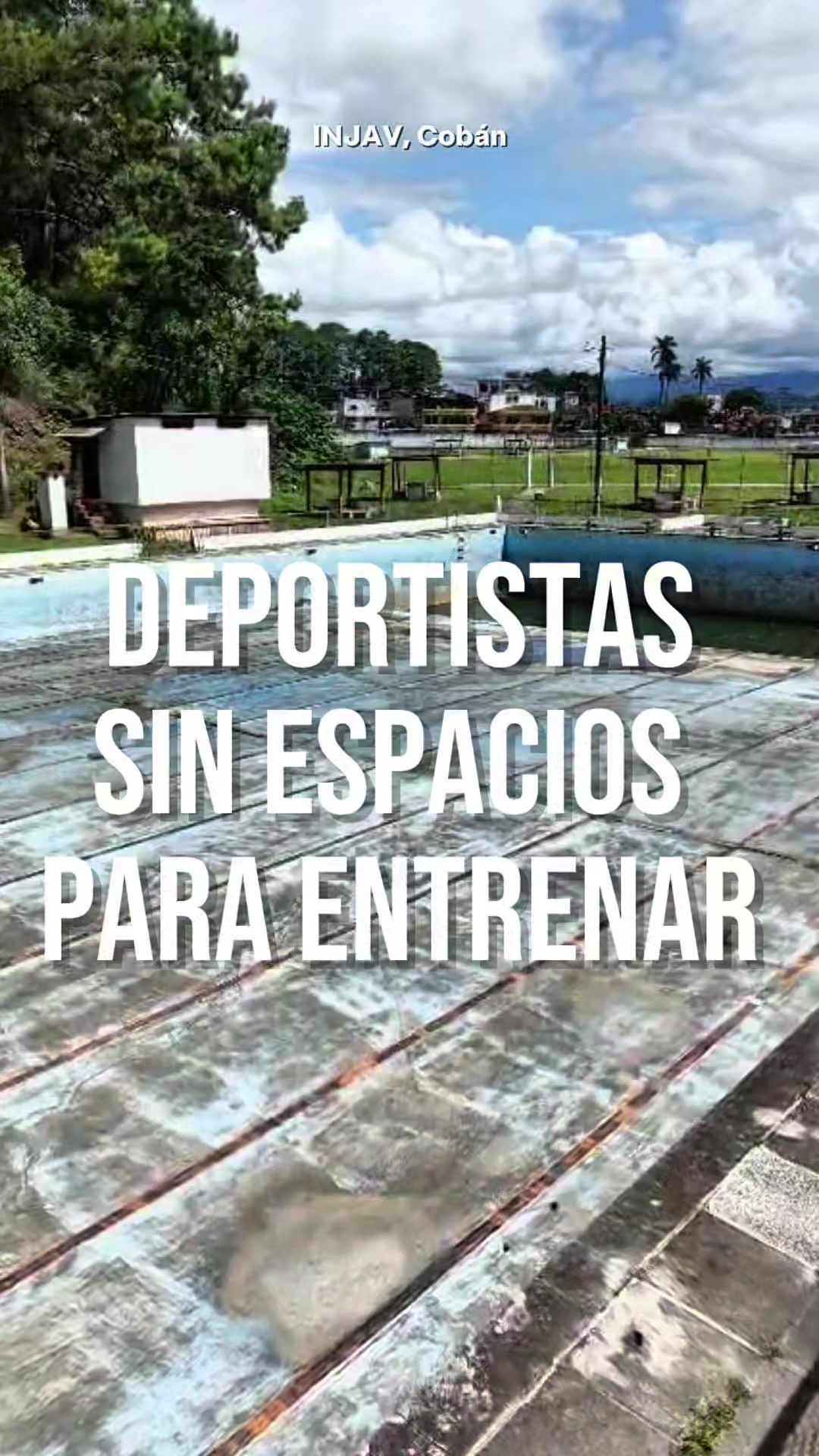 @José Chic