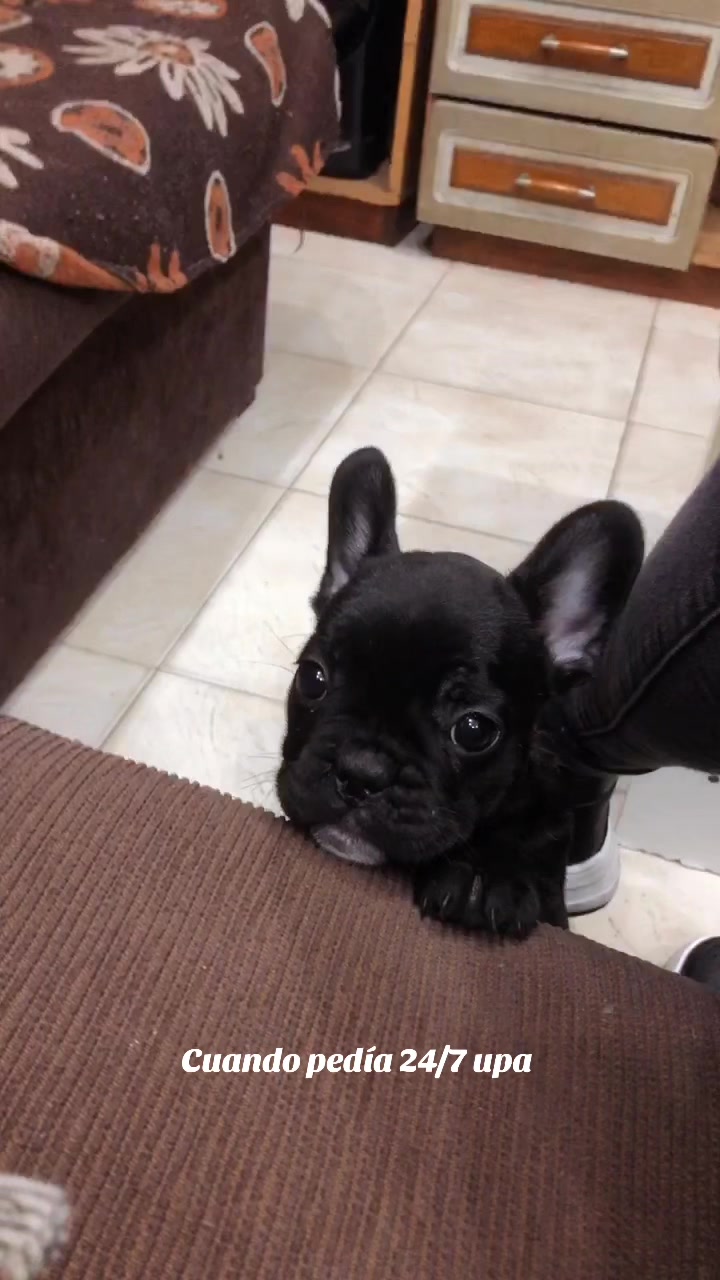 @Giuliana Mira