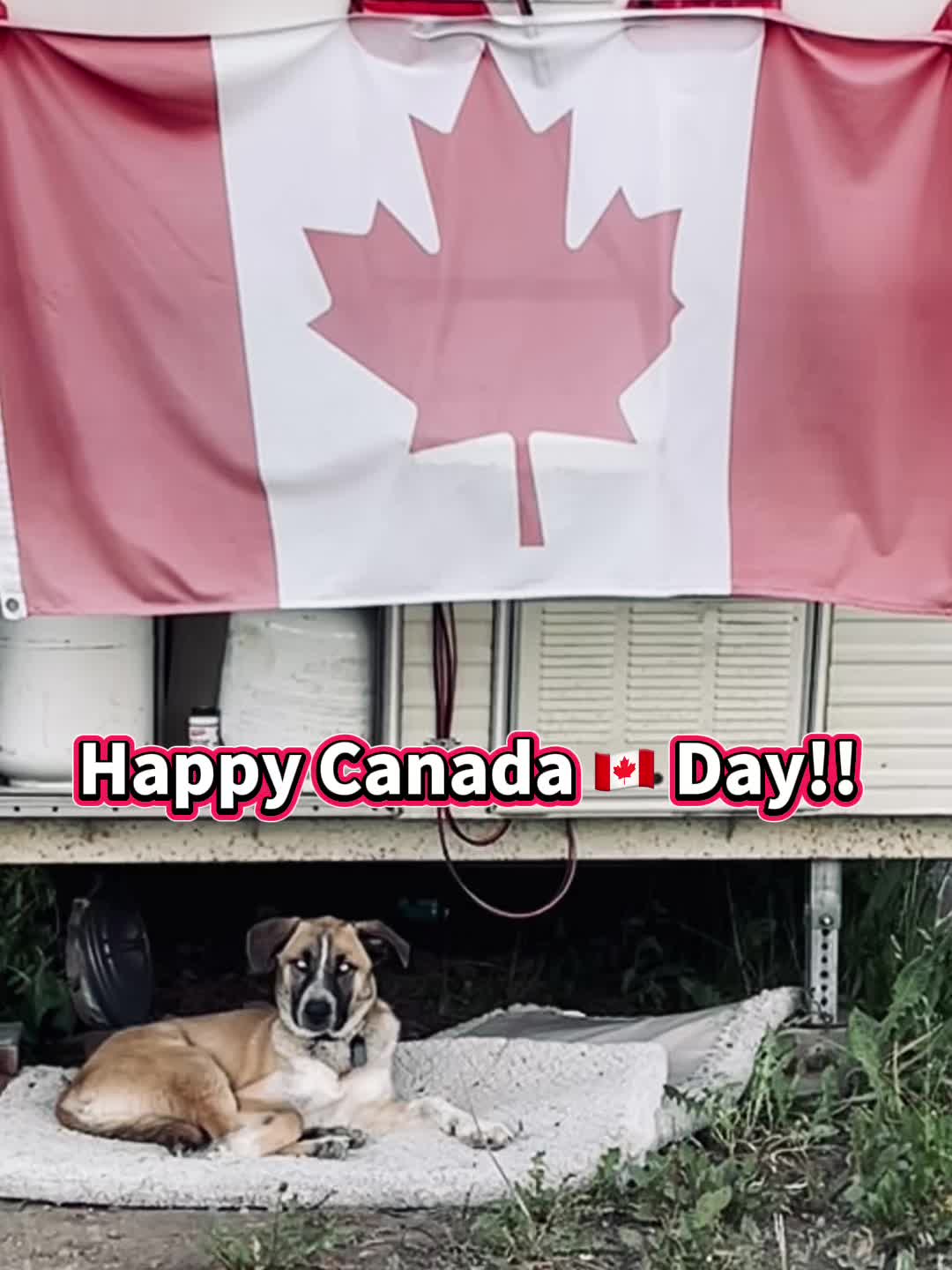 @FabulousMéméLife 🇨🇦 G❌