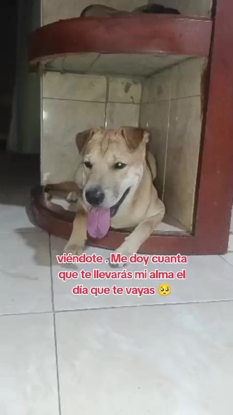 @yosmery Vera